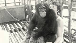 What was 'The Jonestown Massacre' - Bite Sized History (38 year anniversary)