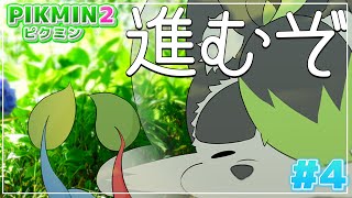 #ピクミン2】今日も元気にピクミン増やしましょう！！！！！【こうの人】