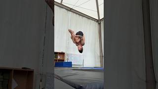 Platform vs. Springboard Diving