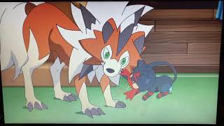 Lycanroc and Litten