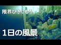 【40代 長期ひきこもり】1日の概要