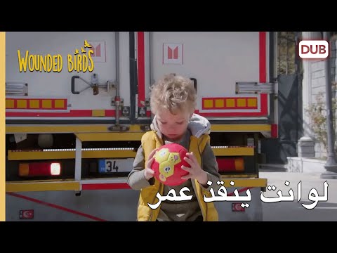 لوانت ينقذ عمر الطيور المجروحة 27 مدبلج عربي 