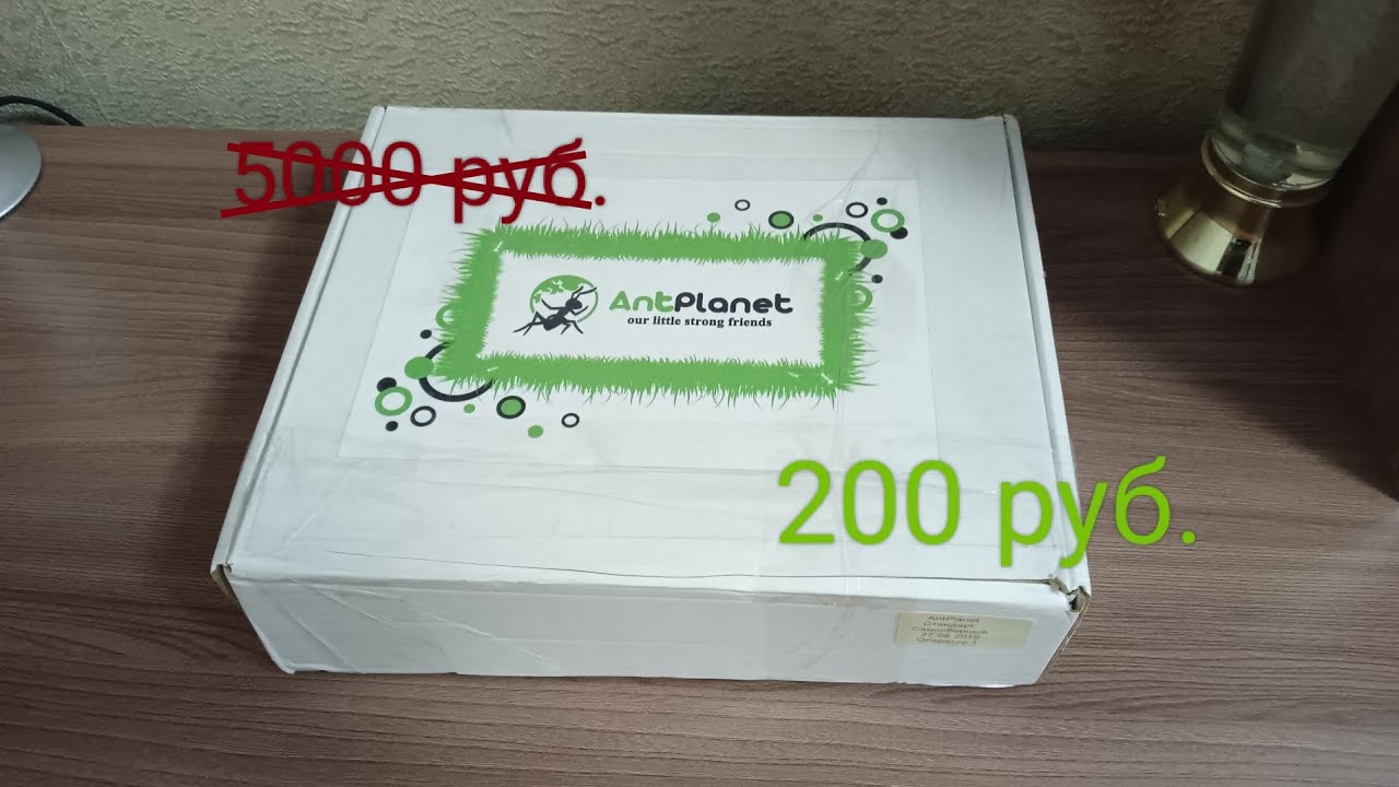Формикарий ant planet за 200 рублей распаковка гигантской колонии. Леонид Гарт ant