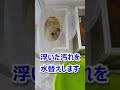 アクアリウム】水槽3台をきれいにします（メダカ・金魚・ドジョウ）