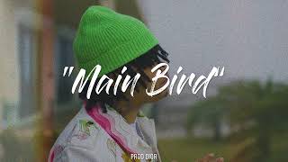 [FREE] "Main Bird" ~ Nocap type beat 2022