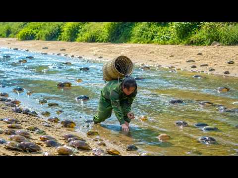 Catching river snails, hunting crabs at night, cooking outdoors - Solo survival skills