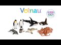 8 pcs antarctica animals