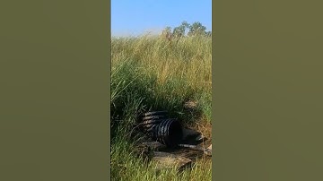 Purpose Of. T-Pipe In A Pond Culvert Overflow