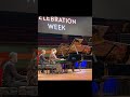 15 Year Old Virtuoso Ignites Haydn’s D Major Concerto — Two Piano Performance #haleighardenoneill