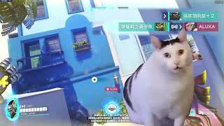 Spawn camping 2 tanks- Overwatch 2
