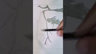 nature ki drawing // how to draw nature drawing