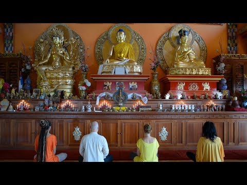 Om Tare Tuttare Ture Svaha – Samsara Boulevard - Official Music Video – Healing Forest Album