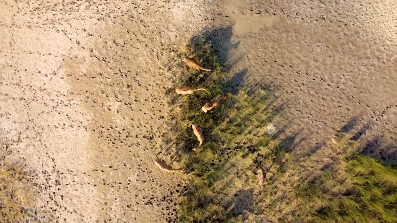 Bhavnagar from above - Hathab Beach