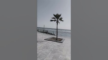 تلاوة الشيخ إسلام صبحي لسورة الكهف