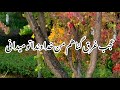 عجب غرق گناهم من خداوندا تو میدانی 