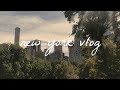 NEW YORK // travel vlog