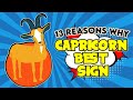 13 Reasons Why Capricorn Is The Best Sign Of All