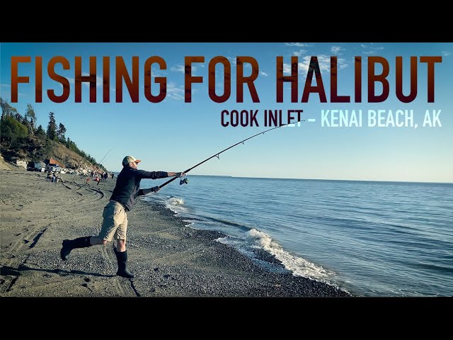 Online Fishing Forum: Beach Fishing for Halibut on Alaska's Kenai Peninsula  