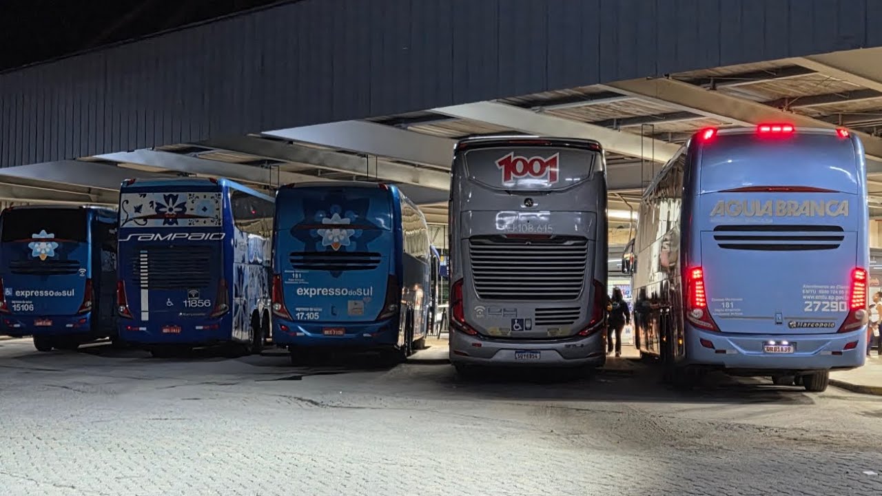 VOCÊ PRECISA VER ISSO! Graal Resende no Carnaval