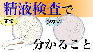 6.【男性必見】実は超重要！精液検査のすすめ