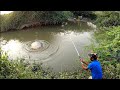 incredible fishing🎣|big cat fish||Redbilled fish catch and how the  fisherman dealt|| 🐟