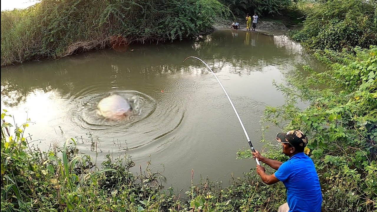 incredible fishing🎣big cat fishRedbilled fish catch and how the