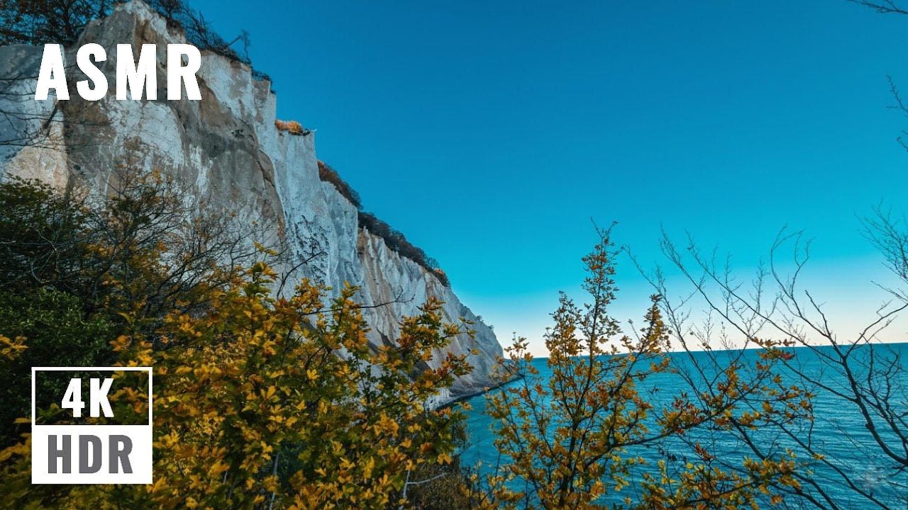 Relax with Coastal Cliffs & Wind - Møns Klint | ASMR