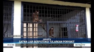 Masyarakat Diajak Tidak Pelihara Satwa Liar