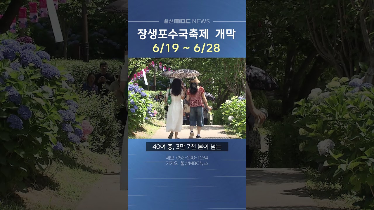 장생포수국축제 6/19 개막‥28일까지