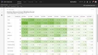 Famous Cohort Analysis Using Any Dimension Net Worth