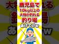 鹿児島で10kg以上の大物が狙える釣り場あげてけww #shorts #釣り