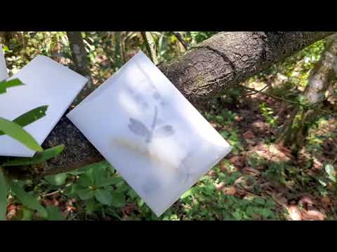 絮語靈感來自森林。36'C 夏天，背着我創作的絮語小卡和飄帶布袋上山，回森林流汗拍照。無意間搭建了這個場景，無意間有隻蝴蝶出現在片頭引路，進入🌿小森林絮語館。