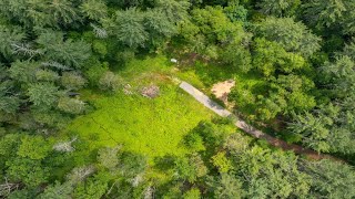 50 Popple Swamp Rd video tour