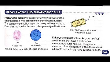 Class 8th Subject Science Ch 7 part 4 by ANUJ YADAV SIR 2 10 20