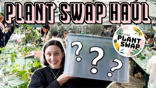 come plant swap with me  Another Plant Swap Haul