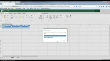 Creating an Excel Survey