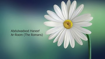 Abdulwadood Haneef   030 Surah Ar Room The Romans  عبد الودود الحنيف   سورة  الروم