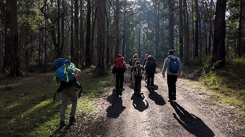 You Determine your path - 1st Victorian Sea Scout Group 2017