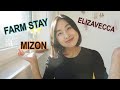 ELIZAVECCA, MIZON, FARM STAY... которых нет в Корее?!