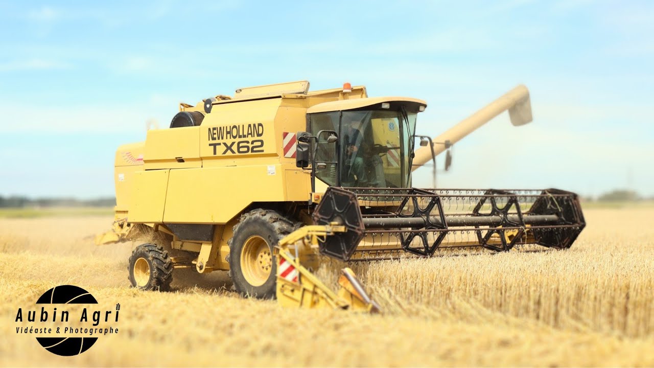 Premier battage d'orge de l'année 🤠 | Début de saison pour cette New Holland TX62 🟡⚫️