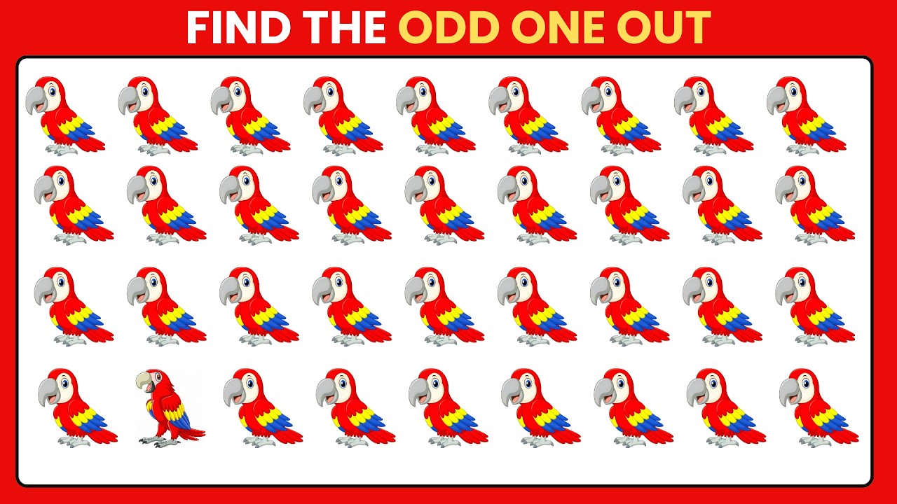 Сможете ли вы найти лишнее? Постарайтесь! 😱