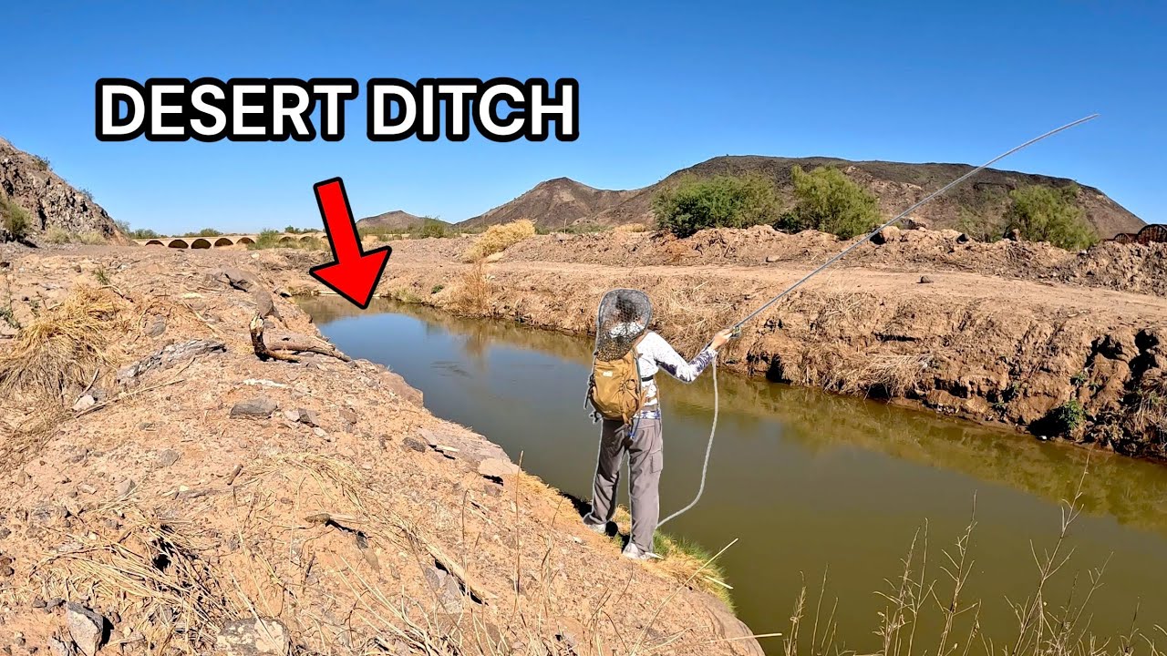 I Fly Fished a Ditch in the Desert (Surprisingly AWESOME!)