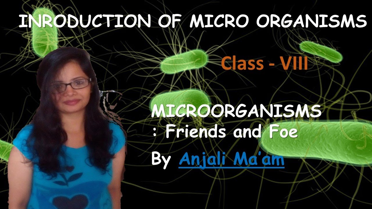 Introduction To Microorganisms Class 8 Chapter 2 Microorganisms 