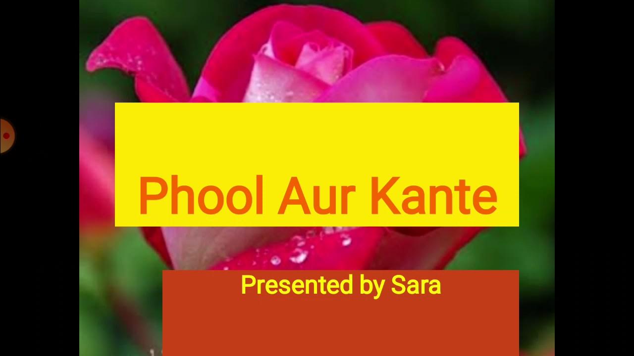 Phool Aur kaante/ flower and thorn poem in hindi YouTube