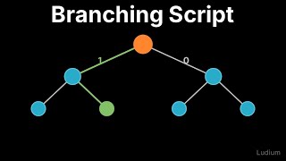 Mastering Bitcoin — 7.6: Branching Logic in Bitcoin Script
