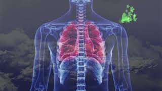 5 Minuten Box Breathing Ontspan Direct Met Deze Simpele Oefening - Oerfit