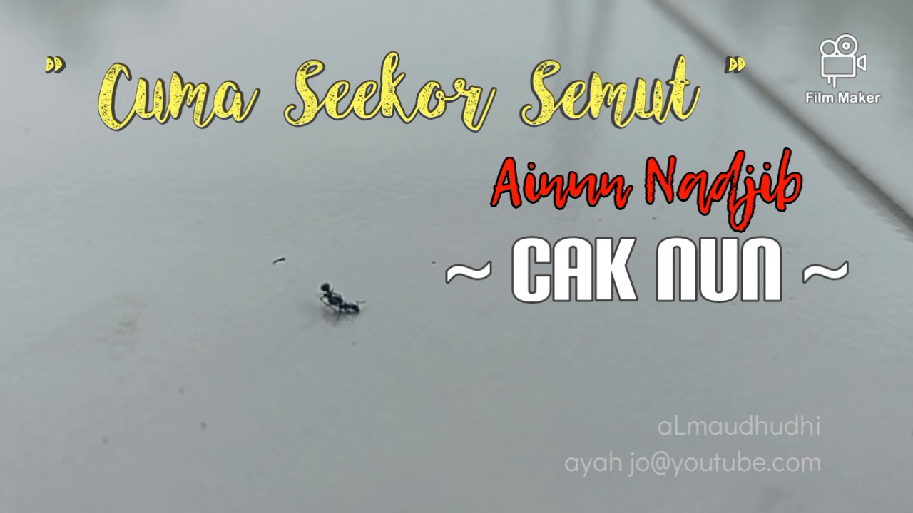 Cak Nun / Ainun Nadjib - Cuma Seekor Semut | statuswa | storywa