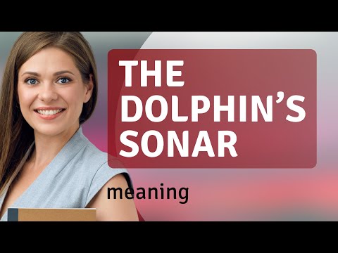 Understanding the Dolphin's Sonar: A Deep Dive