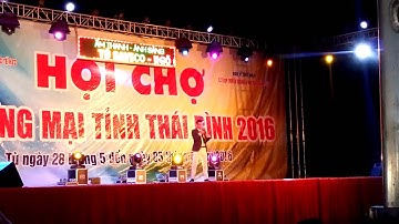Vợ người ta - Chu Bin ( live) HCTM Thái Bình 2016
