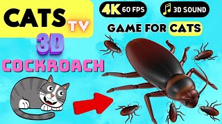 GAME FOR CATS  Real BIG Cockroach [CATS TV] 3 HOURS